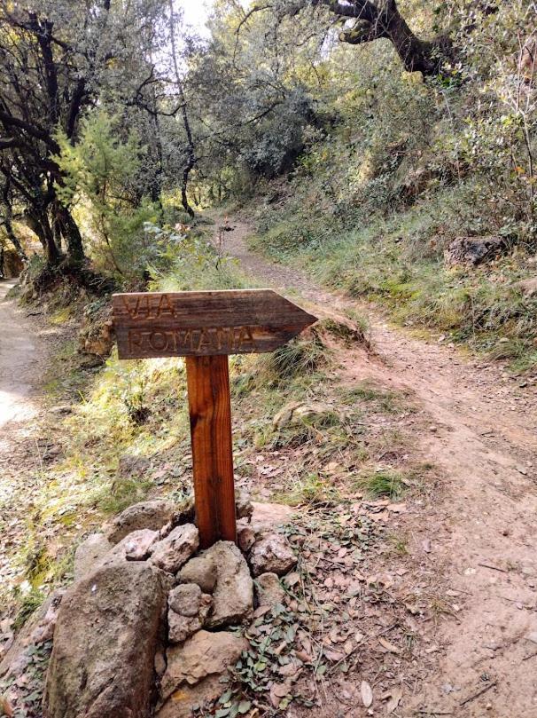 Hostal De Bianya La Vall de Bianya Εξωτερικό φωτογραφία